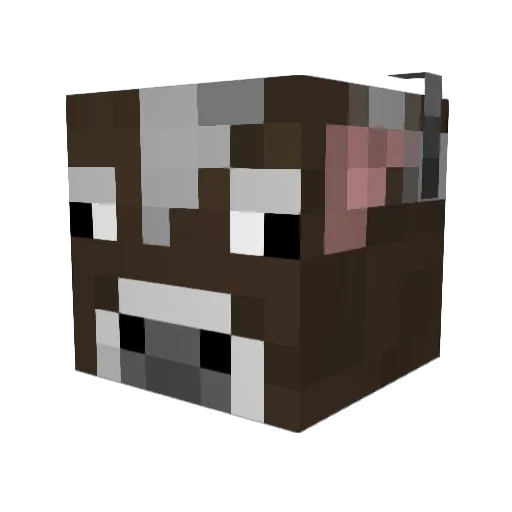 razorcat2000 Minecraft avatar head, 3D render