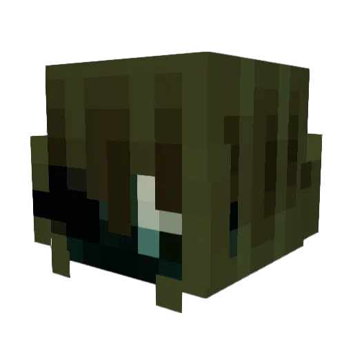 razpil Minecraft avatar head, 3D render