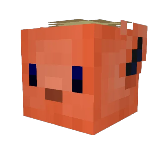 razzismo Minecraft avatar head, 3D render