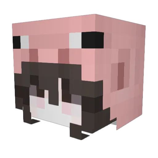 rbciscool Minecraft avatar head, 3D render