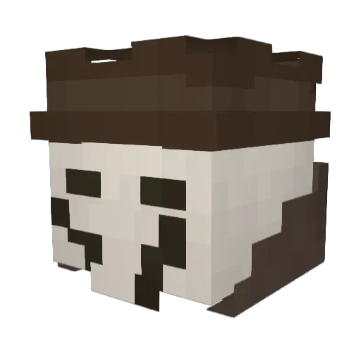 rbcn32 Minecraft avatar head, 3D render
