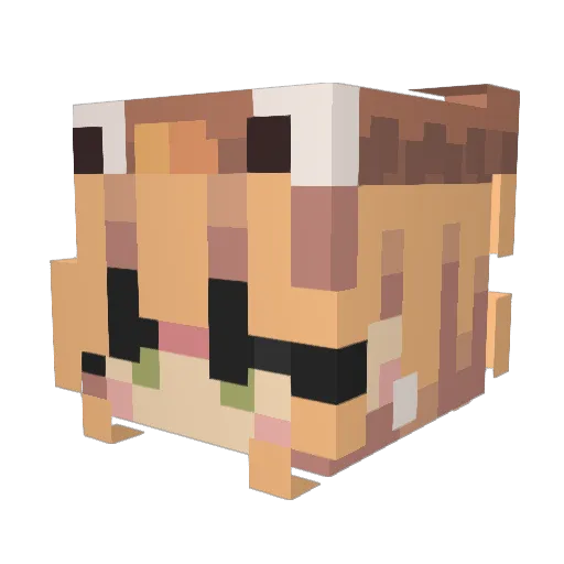 rbin666 Minecraft avatar head, 3D render