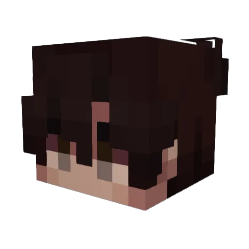 rbpg Minecraft avatar head, 3D render