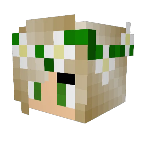 rbrenner45359 Minecraft avatar head, 3D render