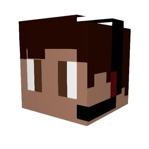 rbrothers2 Minecraft avatar head, 3D render