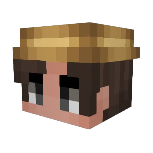 rbw_feli Minecraft avatar head, 3D render