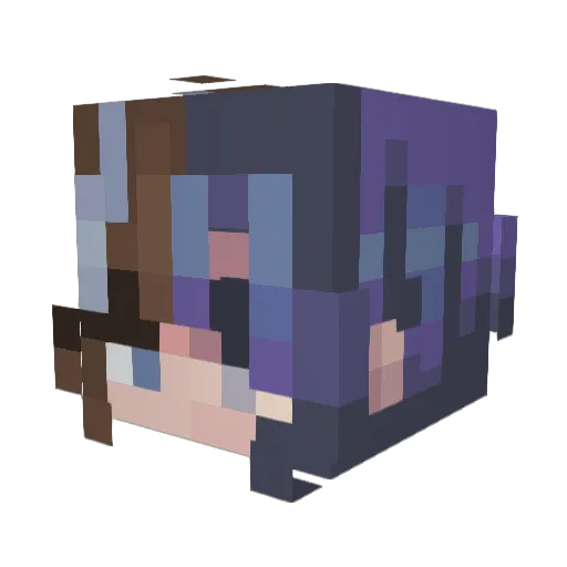 rcastle2110 Minecraft avatar head, 3D render