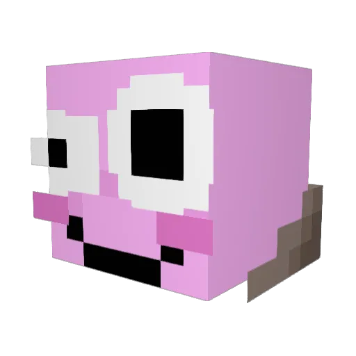 rcboy3000 Minecraft avatar head, 3D render