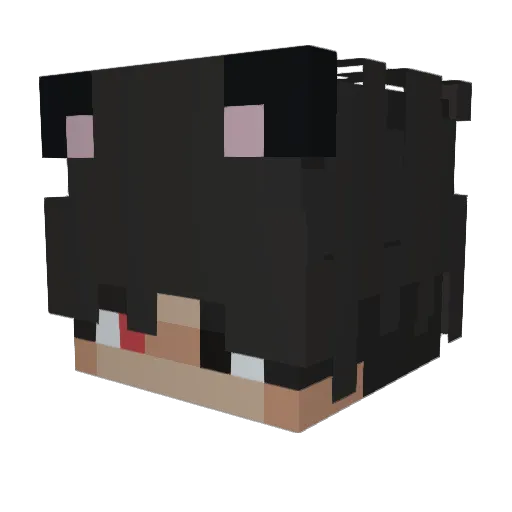 rccoo Minecraft avatar head, 3D render