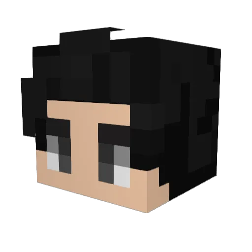 rcd631 Minecraft avatar head, 3D render