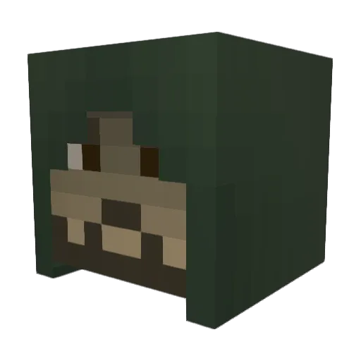 rcford Minecraft avatar head, 3D render