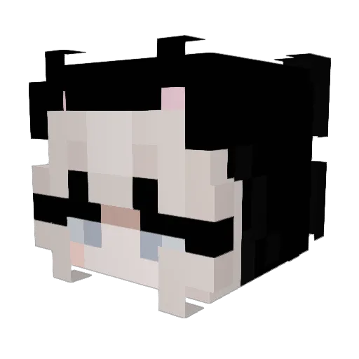 rcj0825 Minecraft avatar head, 3D render