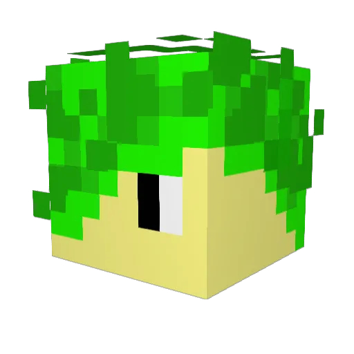rcninja38 Minecraft avatar head, 3D render
