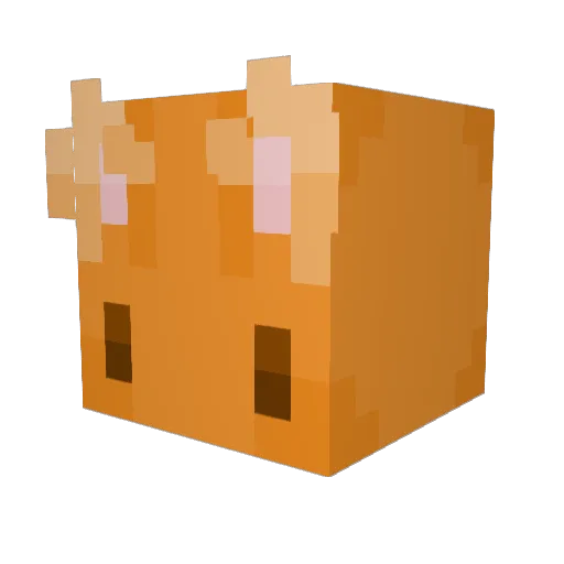 rcsal Minecraft avatar head, 3D render