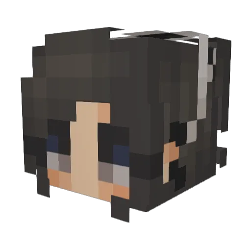 rcseberry Minecraft avatar head, 3D render