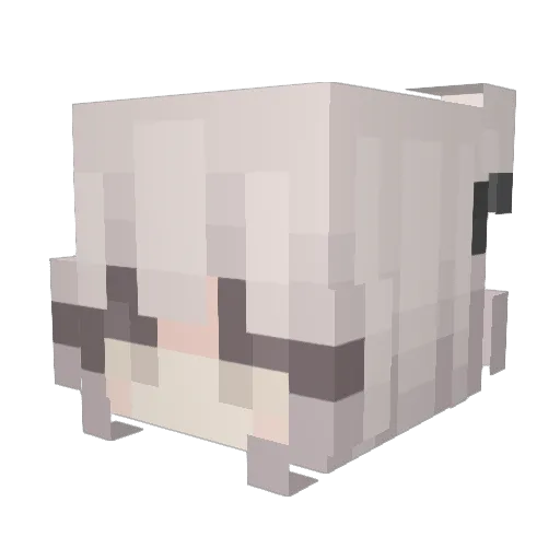 rcwdy Minecraft avatar head, 3D render