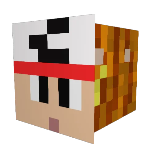 rdavis60 Minecraft avatar head, 3D render