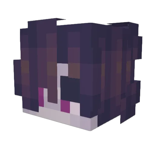 rdctedbcnez Minecraft avatar head, 3D render