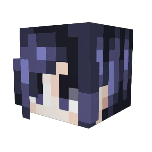 rddl Minecraft avatar head, 3D render