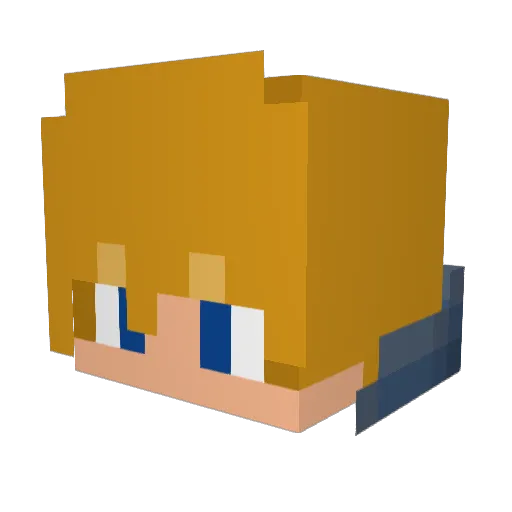 rdog143 Minecraft avatar head, 3D render