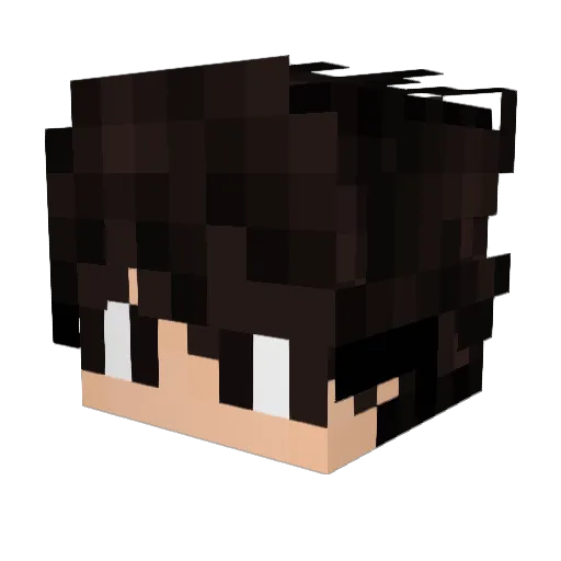 rdpx Minecraft avatar head, 3D render