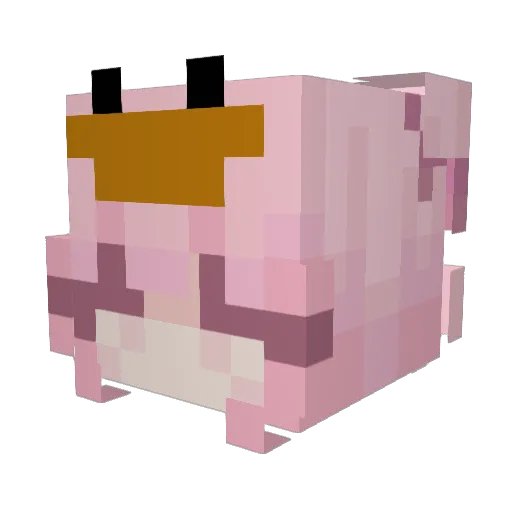 rdqst Minecraft avatar head, 3D render