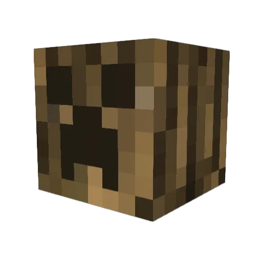 rdshunter Minecraft avatar head, 3D render