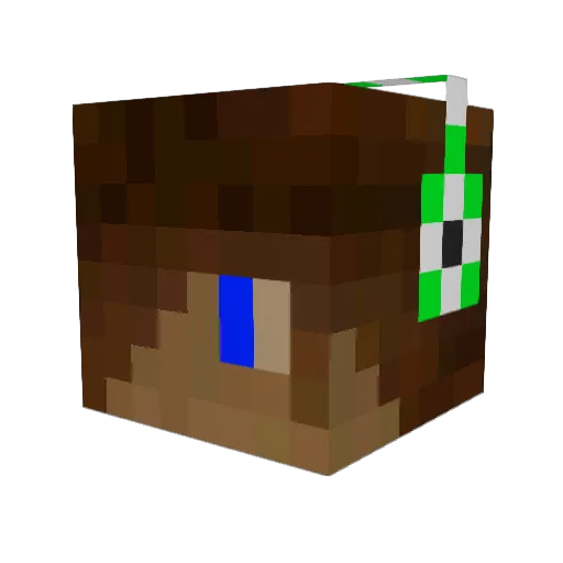 rdudik Minecraft avatar head, 3D render