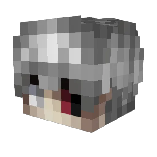 re00 Minecraft avatar head, 3D render