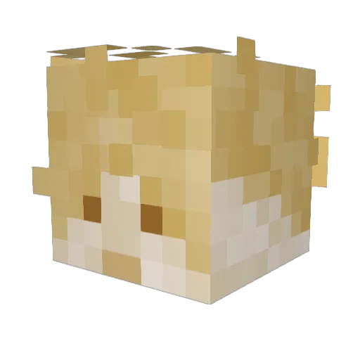 re1cem Minecraft avatar head, 3D render