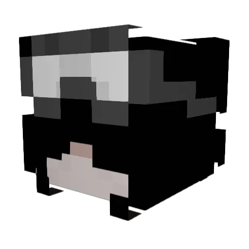 re6beaNs7 Minecraft avatar head, 3D render