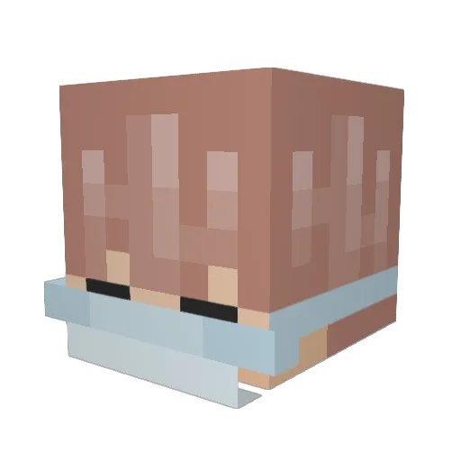 re_Views Minecraft avatar head, 3D render