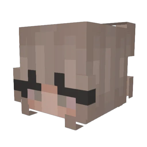 rea_bae Minecraft avatar head, 3D render