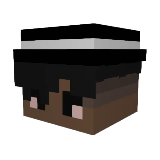 reaax72 Minecraft avatar head, 3D render