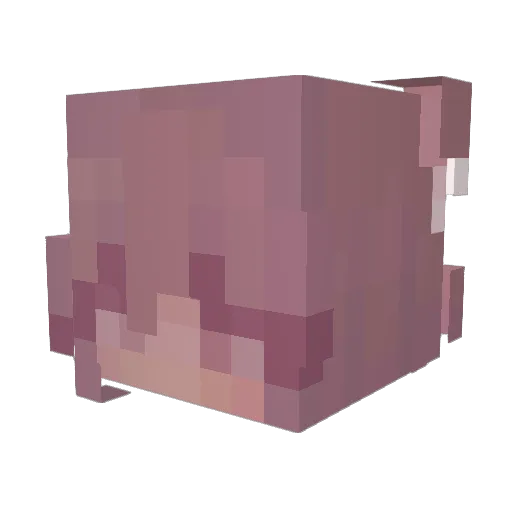 reabunn Minecraft avatar head, 3D render