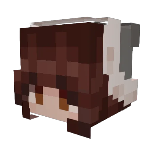 readergide Minecraft avatar head, 3D render
