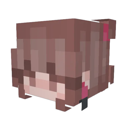 reafc Minecraft avatar head, 3D render