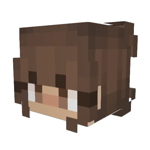reaganamayaa Minecraft avatar head, 3D render