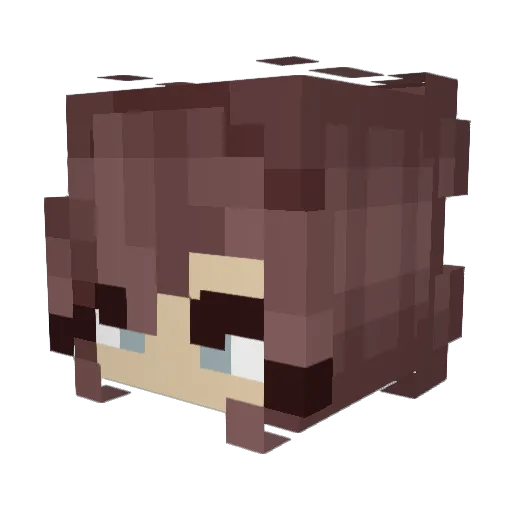 reaganfrantz Minecraft avatar head, 3D render