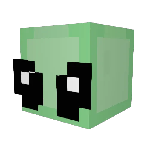 reahsunshine Minecraft avatar head, 3D render