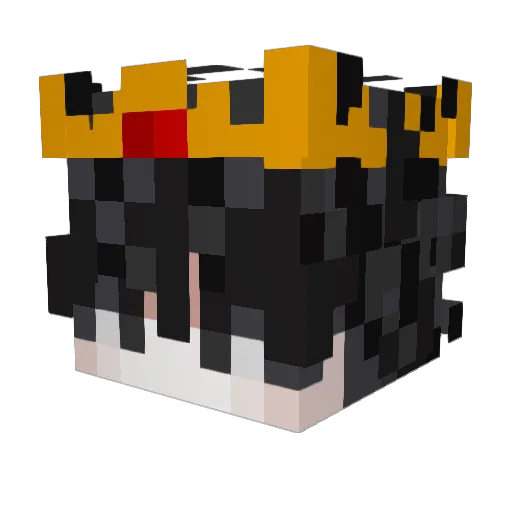 realNatesh Minecraft avatar head, 3D render