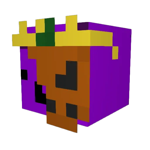 real_player_11 Minecraft avatar head, 3D render
