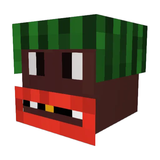 realbagchasa Minecraft avatar head, 3D render