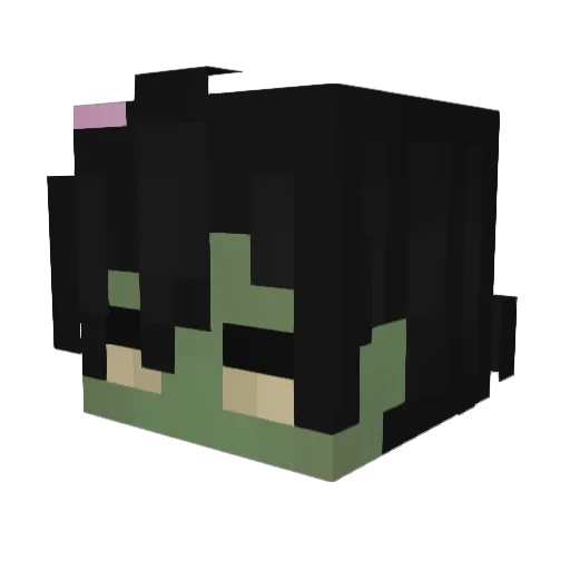 realflowerboy Minecraft avatar head, 3D render