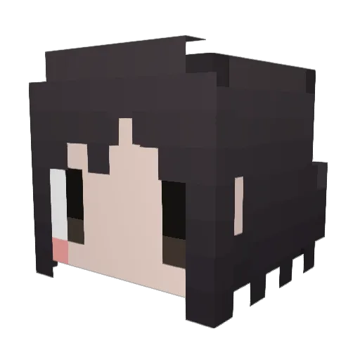 realgon Minecraft avatar head, 3D render