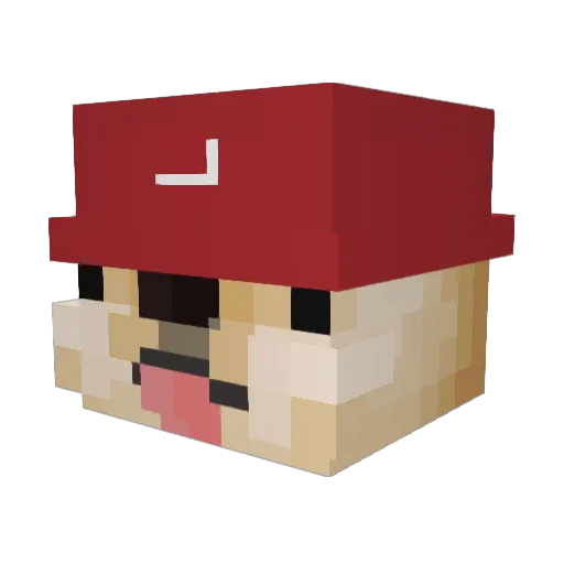 realityx9 Minecraft avatar head, 3D render