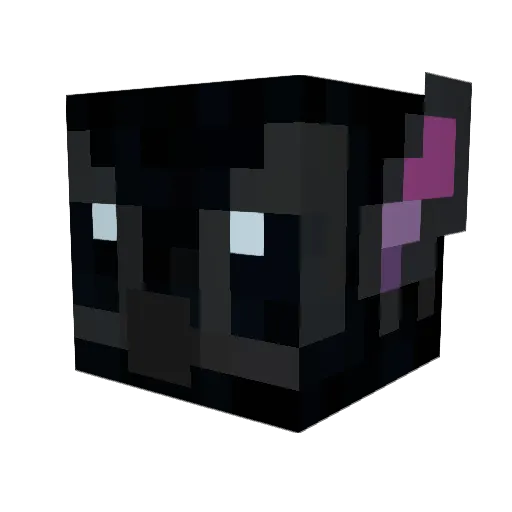 realkillaYAHEARD Minecraft avatar head, 3D render