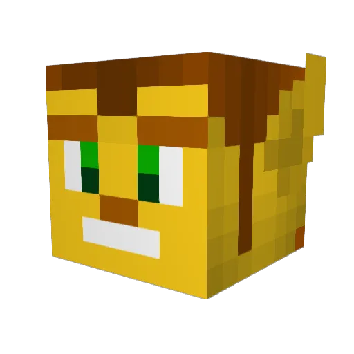 reallow79 Minecraft avatar head, 3D render