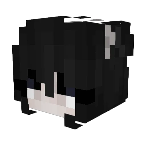 really_special Minecraft avatar head, 3D render