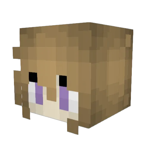 reallyreallyyuh Minecraft avatar head, 3D render